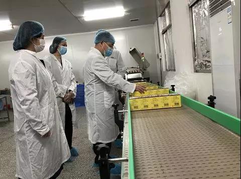 同心抗疫，，，，，，确保质量！6008集团官方网站公司振隆厂外车间接受广药集团生产监视包管小组事情督导