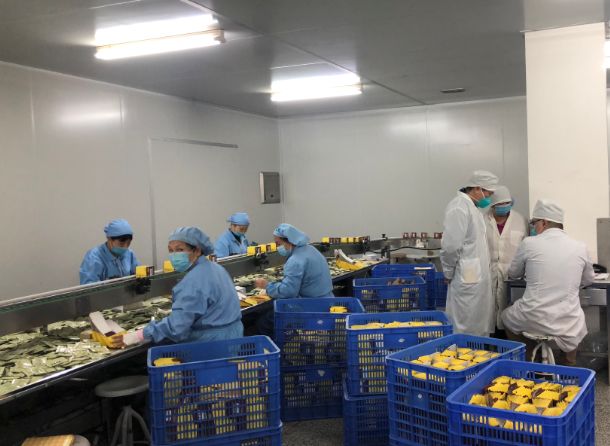 【初心如磐，，，，，，使命在肩】6008集团官方网站第三党支部组织员工提前复工包管生产