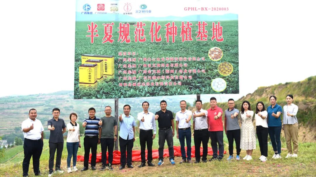 白云山6008集团官方网站公司实地考察调研中药材规范化基地